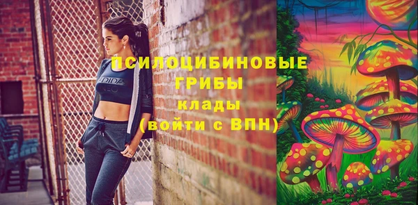 прущая мука Вяземский