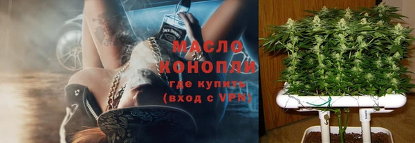 прущая мука Вяземский