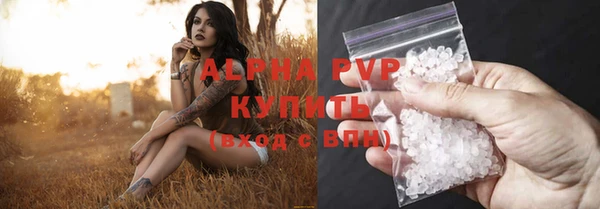 крисы Вязьма