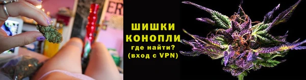 крисы Вязьма