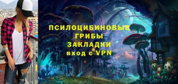 прущая мука Вяземский