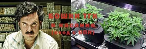 прущая мука Вяземский