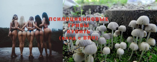 крисы Вязьма
