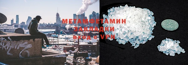 прущая мука Вяземский