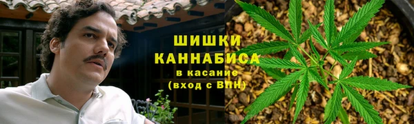 прущая мука Вяземский