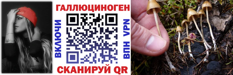 Купить  Лысьва  Галлюциногенные грибы прущие грибы 
